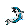 dolphin2.gif 