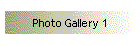 Photo Gallery 1